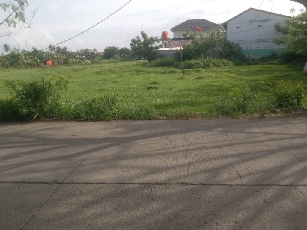 Dijual Kavling Tanah Sawah di Rajeg Kab Tangerang By Rumah Chinida