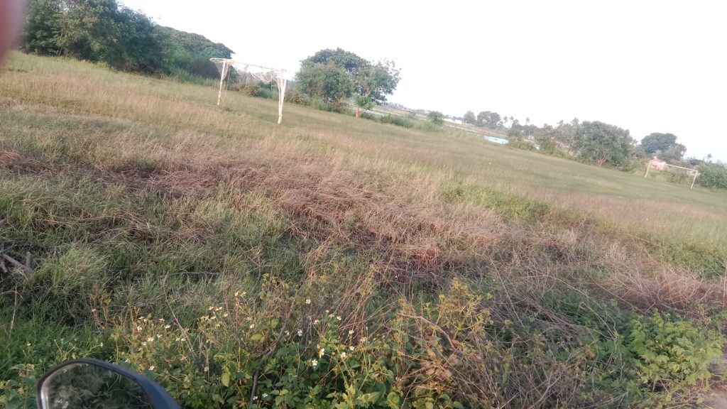 Dijual Cepat Tanah Sawah Nempel Jalan Raya di Rajeg By Rumah Chinida