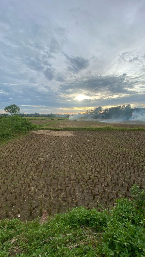 Dijual Tanah Padat Sawah Hadap Timur di Legok By Rumah Chinida