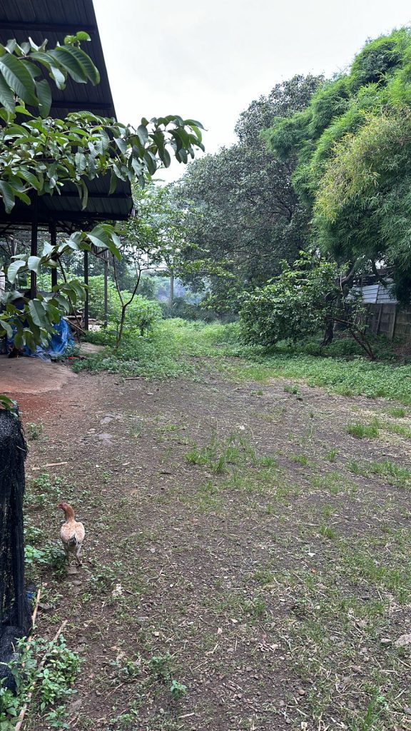 Dijual Tanah SHM 2420m2 di Jl Serpong Parung By Rumah Chinida (Lw)