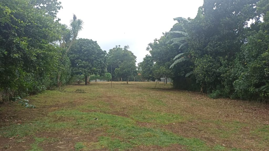 Dijual Tanah Legok SHM di Babat Tangerang By Rumah Chinida (Dw)