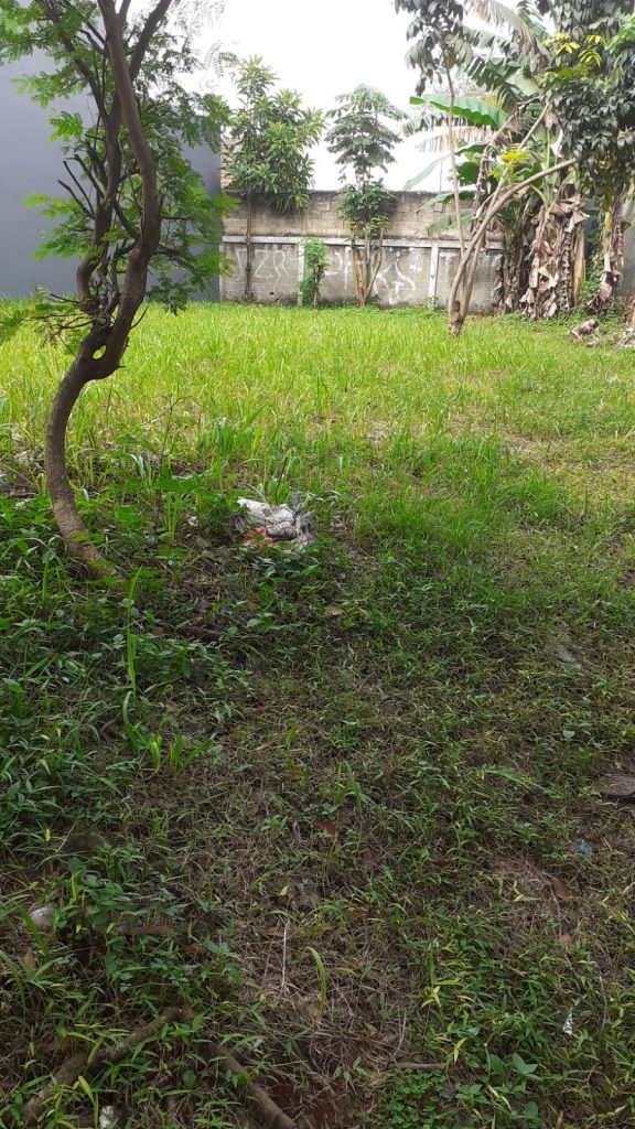 Dijual Tanah PPJB di Cluster Kencana Loka 1 By Rumah Chinida (Dw)