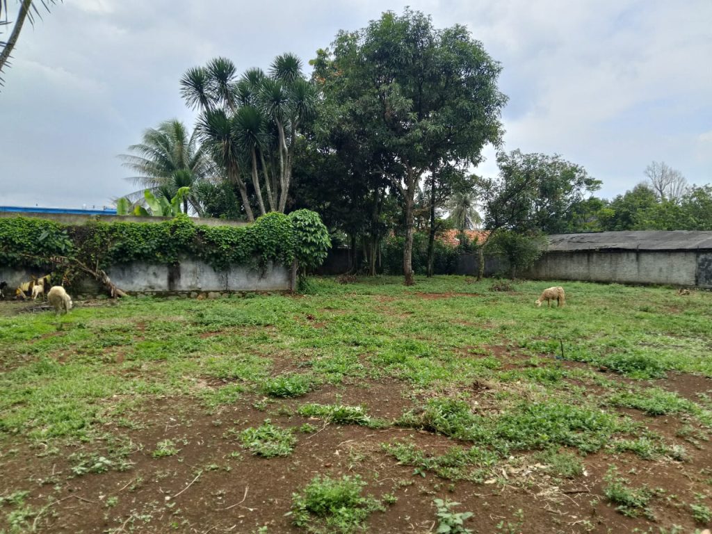 Disewakan Tanah Legok SHM di Babat Tangerang By Rumah Chinida (Dw)