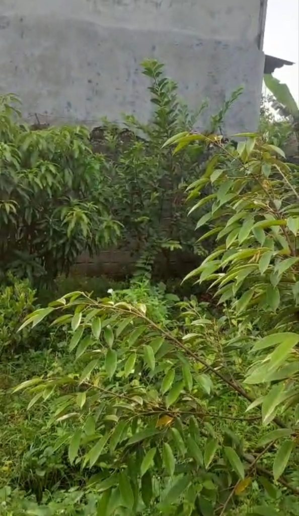 Dijual Tanah SHM 500M2 di Kp Bunut, Cikupa By Rumah Chinida (Rt)