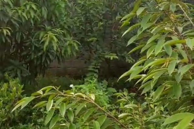 Dijual Tanah SHM 500M2 di Kp Bunut, Cikupa By Rumah Chinida (Rt)