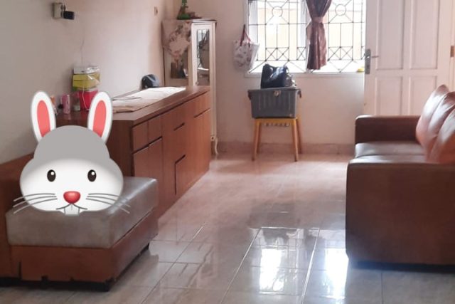 Dijual Rumah Hadap Barat Daya di Sektor 1G By Rumah Chinida (Dw)