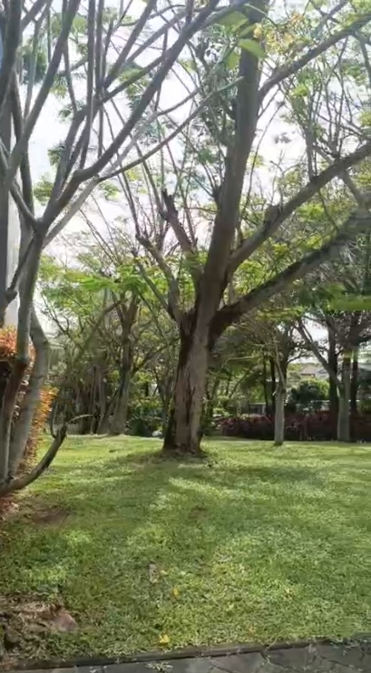Dijual Kavling Hook 217M2 di Ammarila Avani By Rumah Chinida (Dw)
