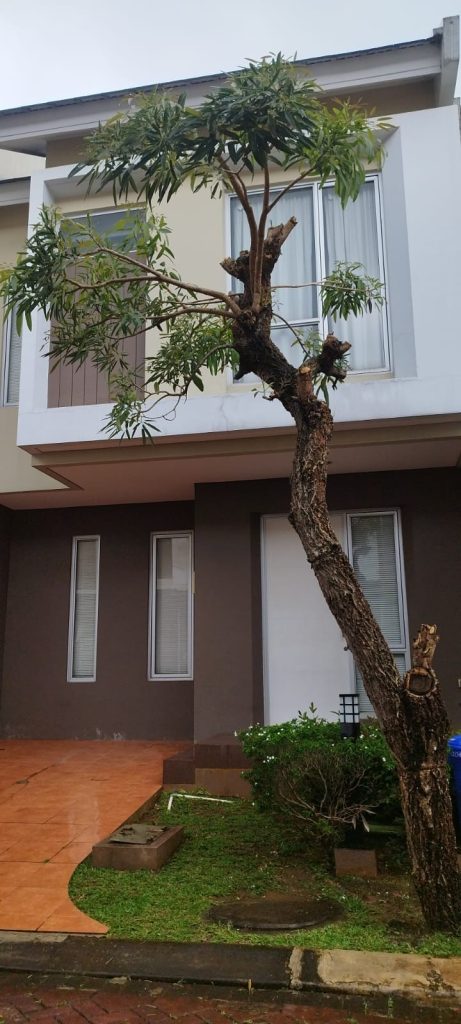 Disewakan Rumah SHM Hadap Utara di Malibu By Rumah Chinida (Dw)