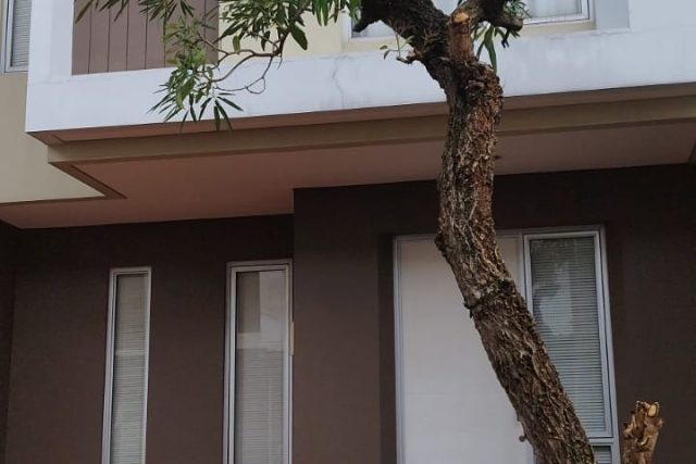 Disewakan Rumah SHM Hadap Utara di Malibu By Rumah Chinida (Dw)