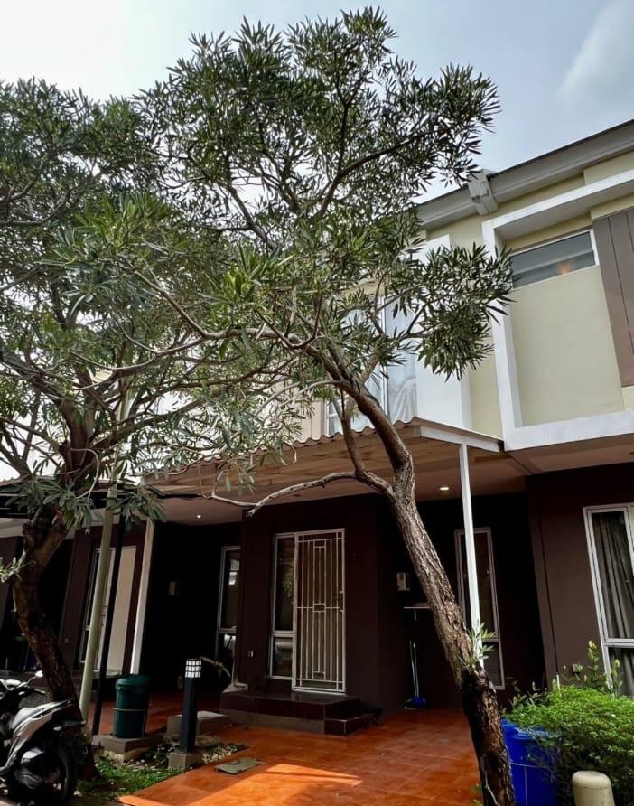 Disewakan Rumah SHM di Malibu Village By Rumah Chinida (Dw)