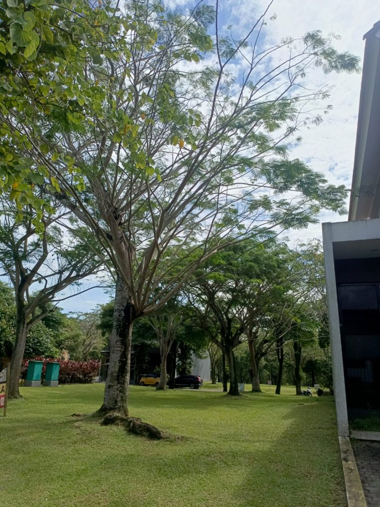 Dijual Kavling Hook 288M2 di Inika Island By Rumah Chinida (Dw)