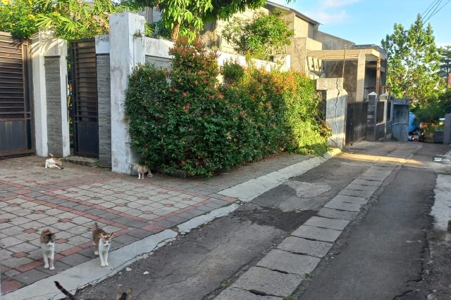 Dijual Tanah Sentul Bogor SHM di Jl Taman Kenari By Rumah Chinida (Rt)