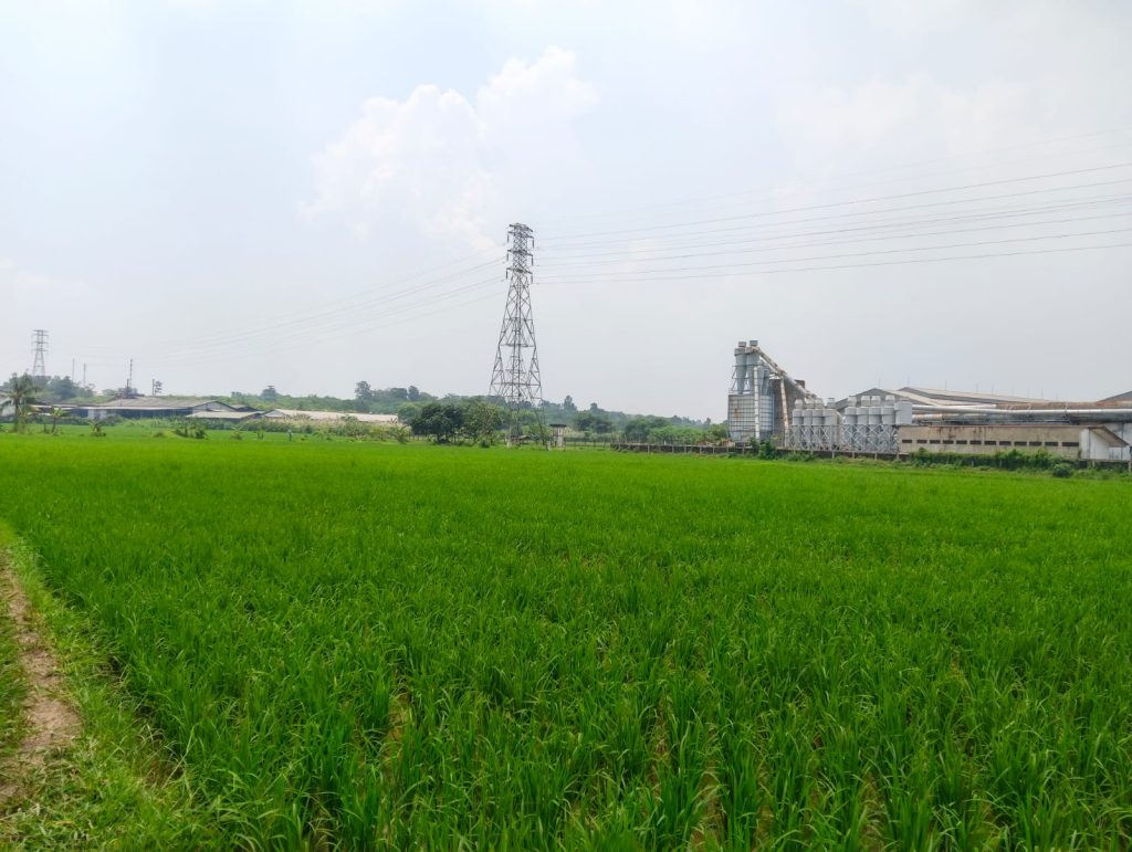 Dijual Tanah Karawang Timur 10Ha di Jl Raya Curug By Rumah Chinida (Lv)