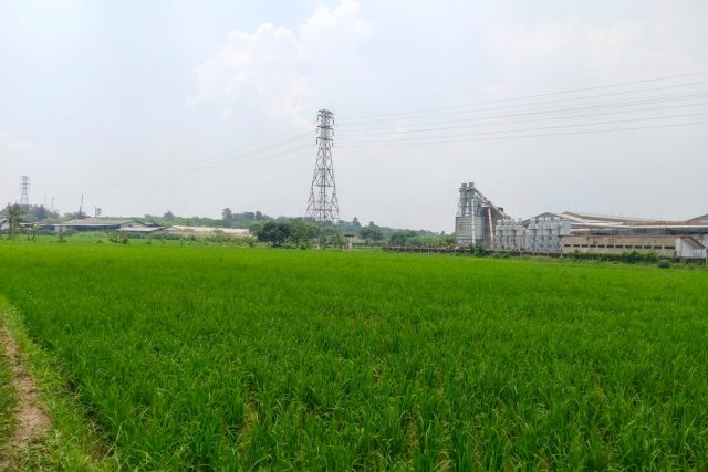 Dijual Tanah Karawang Timur 10Ha di Jl Raya Curug By Rumah Chinida (Lv)