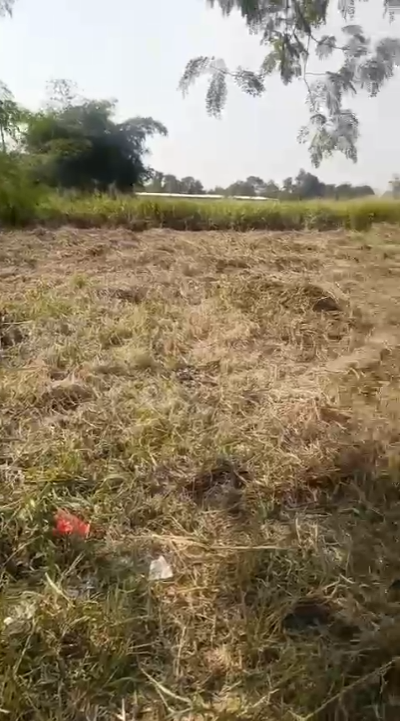 Dijual Tanah Kawasan Pergudangan di Tigaraksa, Tangerang By Rumah Chinida (Va)
