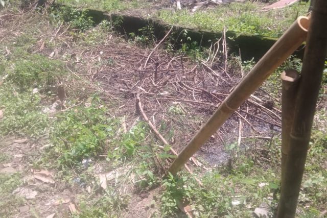 Dijual 3 Gandeng Tanah Kavling Tigaraksa di Taman Adyasa By Rumah Chinida (Ls)