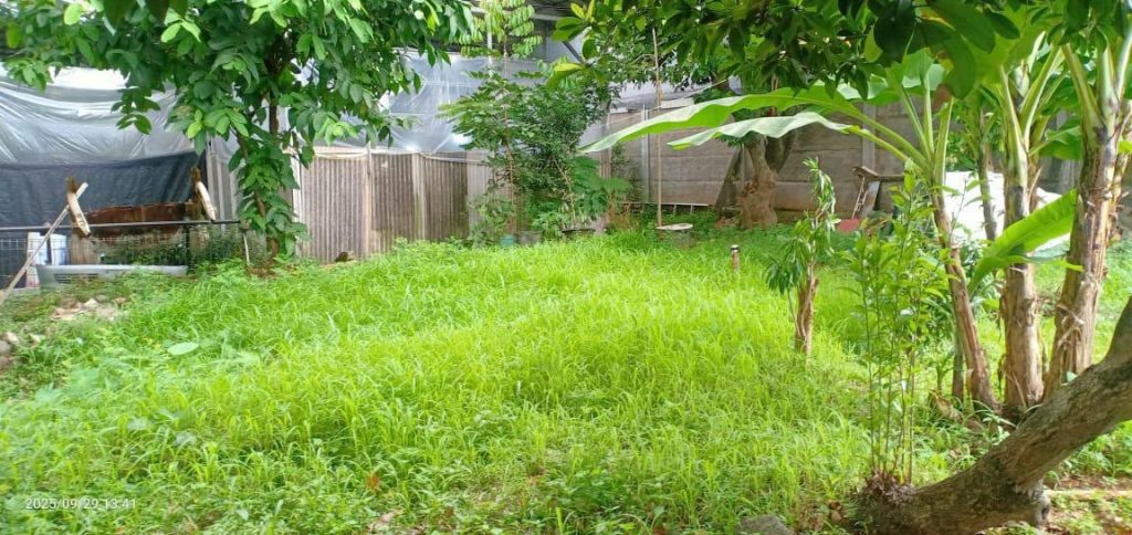 ijual Tanah Jakarta Selatan SHM di Kesehatan Bintaro By Rumah Chinida (Lw)
