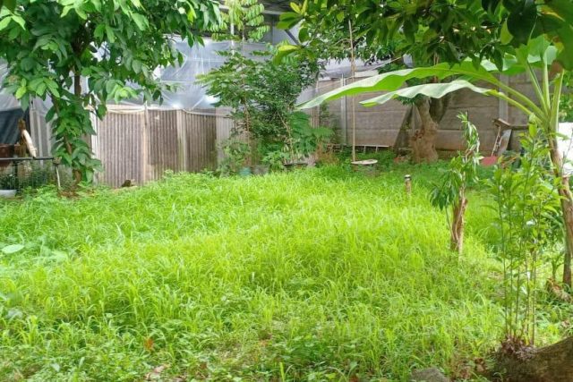 ijual Tanah Jakarta Selatan SHM di Kesehatan Bintaro By Rumah Chinida (Lw)